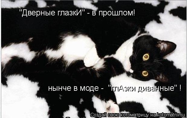 Котоматрица: "Дверные глазкИ" - в прошлом! нынче в моде -  "глАзки диванные" !