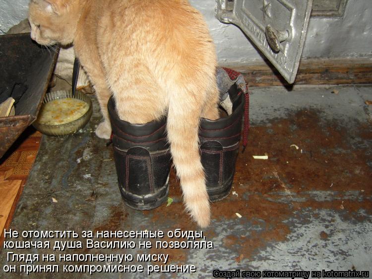 Котоматрица: Не отомстить за нанесенные обиды, кошачья душа Василию не позволяла Не отомстить за нанесенные обиды,  кошачая душа Василию не позволяла Гл