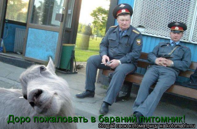 Котоматрица: Доро пожаловать в бараний питомник!