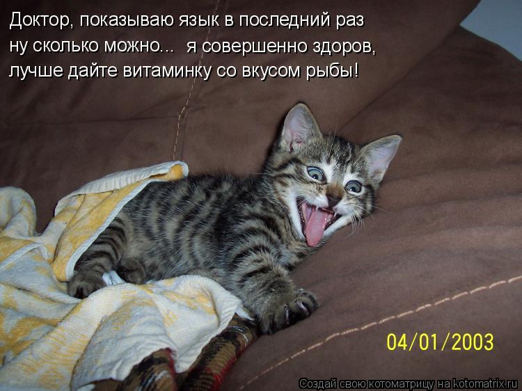 Котоматрица: Доктор, показываю язык в последний раз ну сколько можно...  я совершенно здоров,  лучше дайте витаминку со вкусом рыбы!