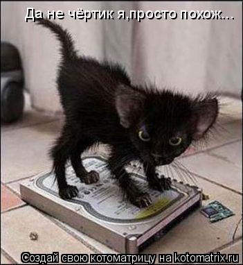 Котоматрица: Да не чёртик я,просто похож...