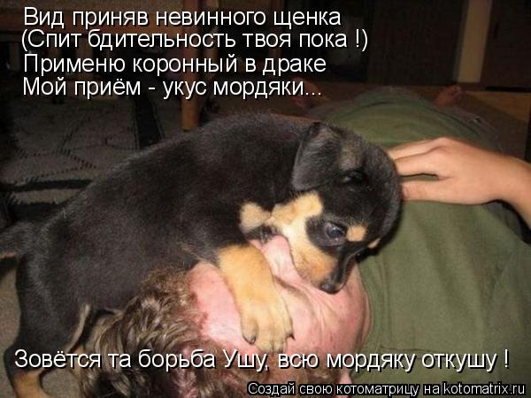 Котоматрица: Вид приняв невинного щенка (Спит бдительность твоя пока !) Применю коронный в драке Мой приём - укус мордяки... Зовётся та борьба Ушу, всю морд