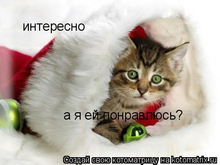 интересно а я ей понравлюсь?... Котоматрица: интересно а я ей понравлюсь?
