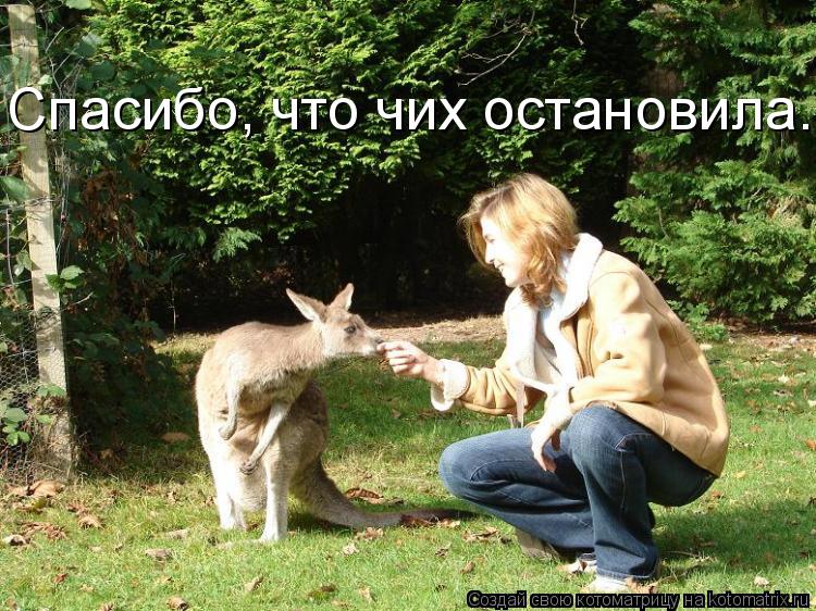 Спасибо, что чих остановила.... Котоматрица: Спасибо, что чих остановила.