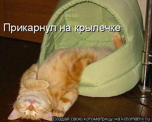 Прикарнул на крылечке... Котоматрица: Прикарнул на крылечке