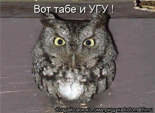 Вот табе и УГУ !... Котоматрица: Вот табе и УГУ !