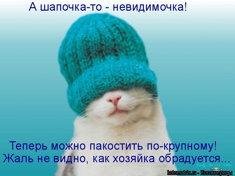 Котоматрица: А шапочка-то - невидимочка!  Теперь можно пакостить по-крупному!  Жаль не видно, как хозяйка обрадуется...