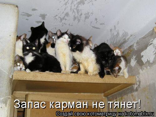 Запас карман не тянет!... Котоматрица: Запас карман не тянет!