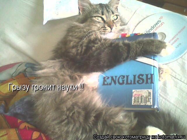 Грызу гронит науки !!... Котоматрица: Грызу гронит науки !!