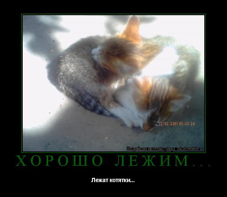 Котоматрица: Хорошо лежим... Лежат котятки...