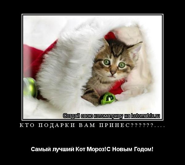 Котоматрица: Кто подарки Вам принёс??????.... Самый лучший Кот Мороз!С Новым Годом!