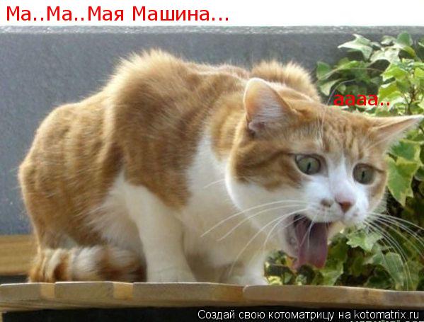 Ма..Ма..Мая Машина... аааа..... Котоматрица: Ма..Ма..Мая Машина... аааа..