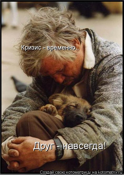 Кризис - временно.. Друг - навсегда!... Котоматрица: Кризис - временно.. Друг - навсегда!