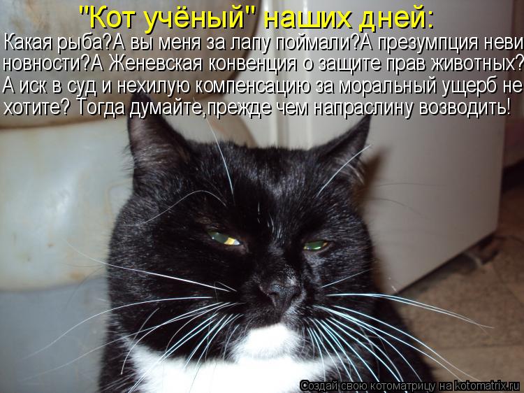 "Кот учёный" наших дней: новности?А Женевская конвенция о защите прав животных? Какая рыба?А вы меня ... Котоматрица: "Кот учёный" наших дней: новности?А Женевская конвенция о защите прав животных? Какая рыба?А вы меня за лапу поймали?А презумпция неви А иск в