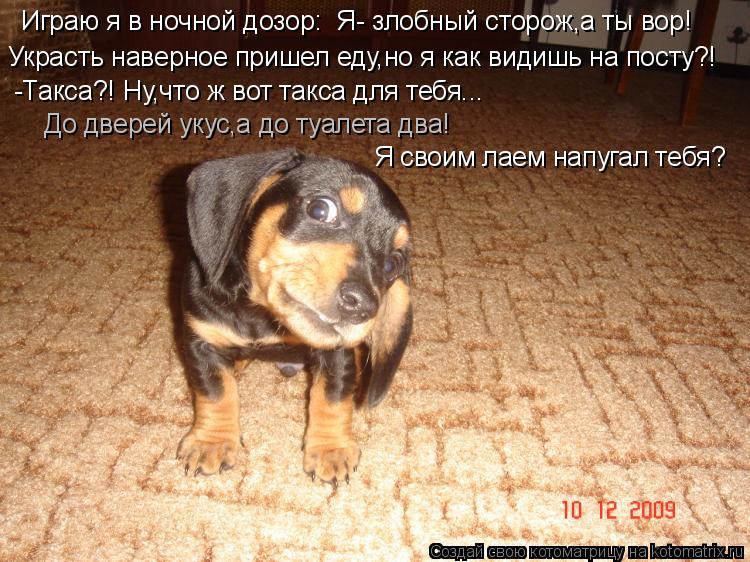 Украсть наверное пришел еду,но я как видишь на посту?! Играю я в ночной дозор: Я- злобный сторож,а т... Котоматрица: Украсть наверное пришел еду,но я как видишь на посту?! Играю я в ночной дозор: Я- злобный сторож,а ты вор! -Такса?! Ну,что ж вот такса для тебя...