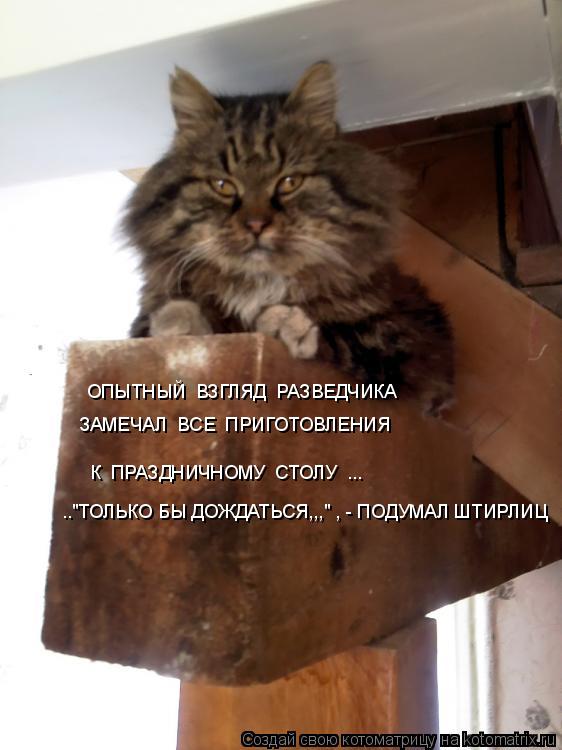ОПЫТНЫЙ ВЗГЛЯД РАЗВЕДЧИКА ЗАМЕЧАЛ ВСЕ ПРИГОТОВЛЕНИЯ К ПРАЗДНИЧНОМУ СТОЛУ ... .."ТОЛЬКО БЫ ДОЖ... Котоматрица: ОПЫТНЫЙ ВЗГЛЯД РАЗВЕДЧИКА ЗАМЕЧАЛ ВСЕ ПРИГОТОВЛЕНИЯ К ПРАЗДНИЧНОМУ СТОЛУ ... .."ТОЛЬКО БЫ ДОЖДАТЬСЯ,,," , - ПОДУМАЛ ШТИРЛИЦ