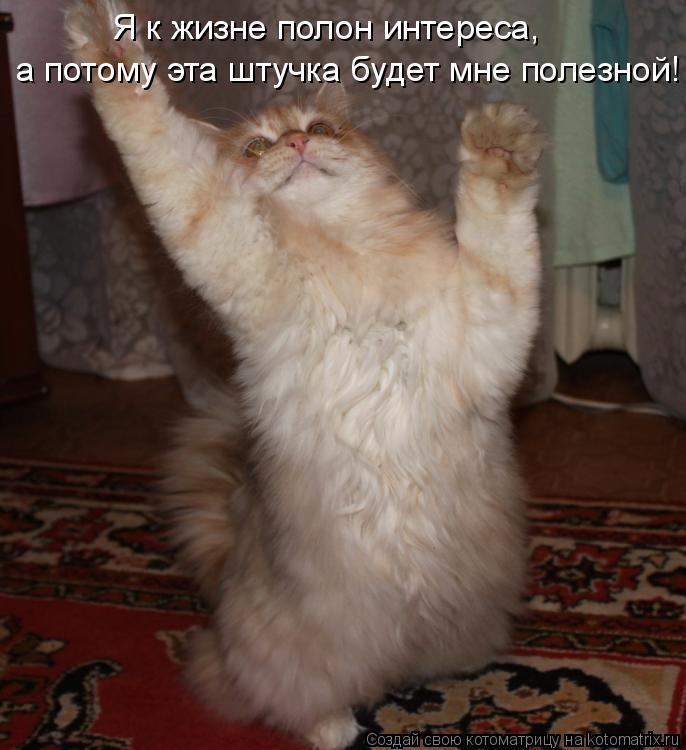 Я к жизне полон интереса, а потому эта штучка будет мне полезной!... Котоматрица: Я к жизне полон интереса, а потому эта штучка будет мне полезной!