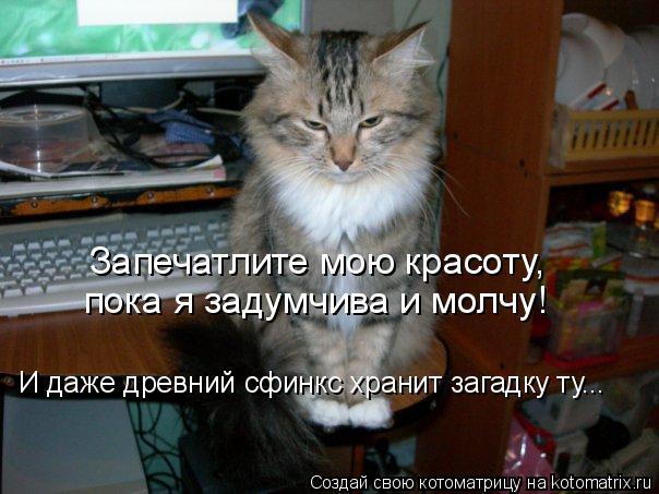 Запечатлите мою красоту, пока я задумчива и молчу! И даже древний сфинкс хранит загадку ту...... Котоматрица: Запечатлите мою красоту, пока я задумчива и молчу! И даже древний сфинкс хранит загадку ту...