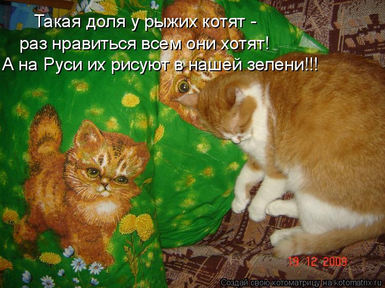 Такая доля у рыжих котят - раз нравиться всем они хотят! А на Руси их рисуют в нашей зелени!!!... Котоматрица: Такая доля у рыжих котят - раз нравиться всем они хотят! А на Руси их рисуют в нашей зелени!!!