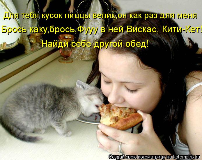 Котоматрица: Найди себе другой обед! Брось каку,брось,Фууу в ней Вискас, Кити-Кет! Для тебя кусок пиццы велик,он как раз для меня