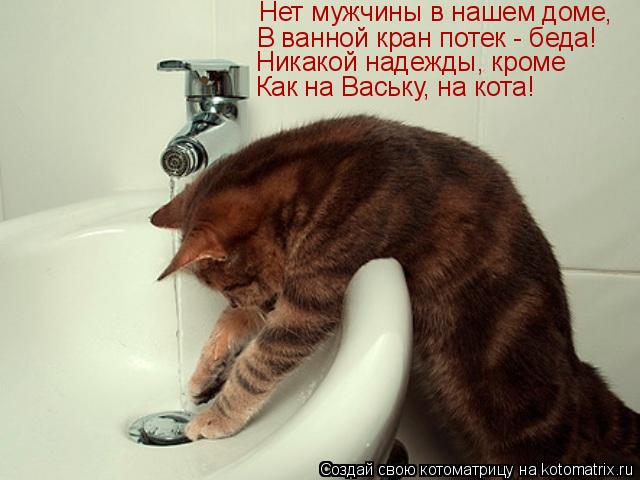 Котоматрица: Нет мужчины в нашем доме, В ванной кран потек - беда! Никакой надежды, кроме Как на Ваську, на кота!
