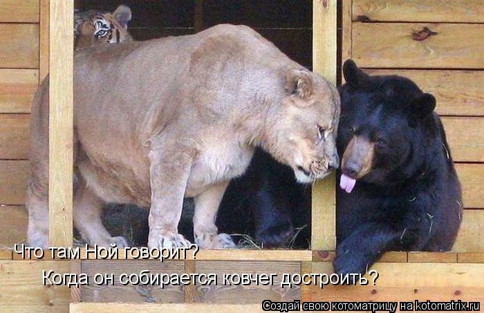 Котоматрица: Что там Ной говорит? Когда он собирается ковчег достроить?