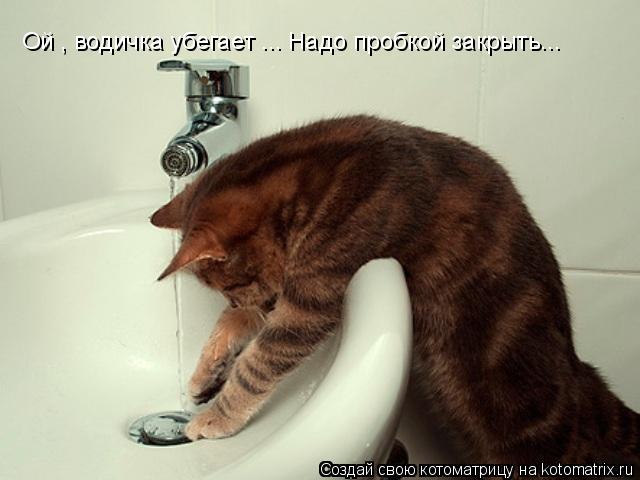 Котоматрица: Ой , водичка убегает ... Надо пробкой закрыть...