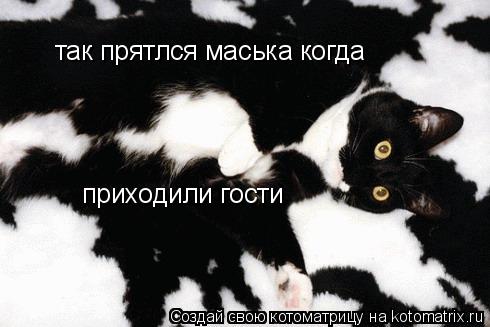 Котоматрица: так прятлся маська когда  приходили гости