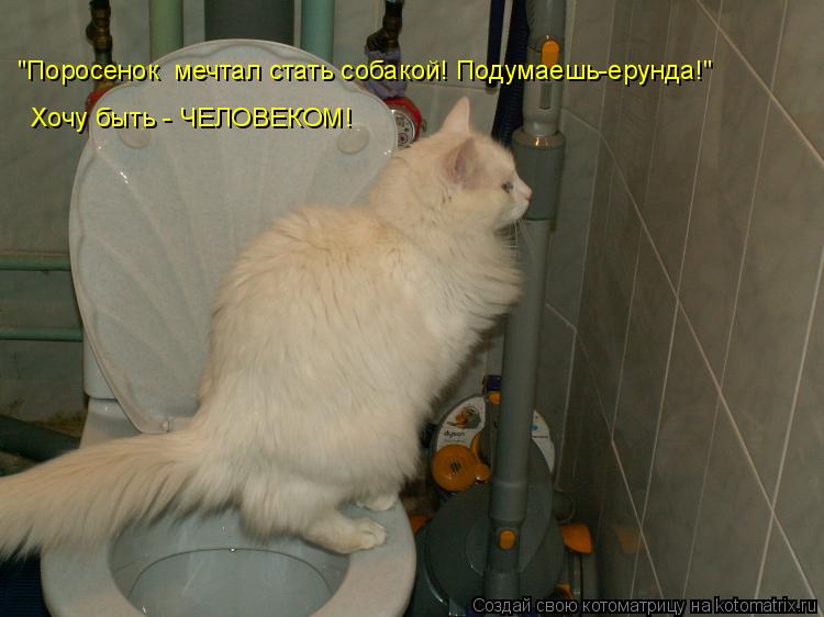 Котоматрица: "Поросенок  мечтал стать собакой! Подумаешь-ерунда!" Хочу быть - ЧЕЛОВЕКОМ!