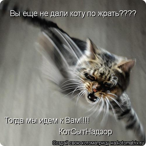 Котоматрица: Вы еще не дали коту по жрать???? Тогда мы идем к Вам!!!! КотСытНадзор