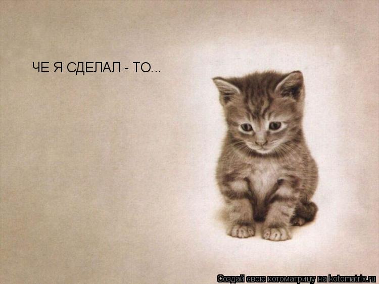 Котоматрица: ЧЕ Я СДЕЛАЛ - ТО...