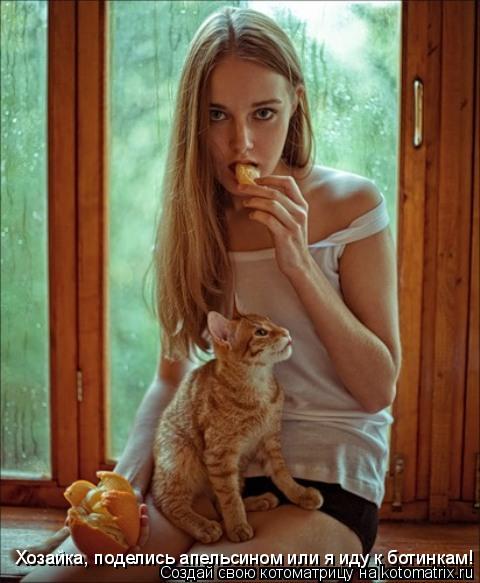 Котоматрица: Хозайка, поделись апельсином или я иду к ботинкам!