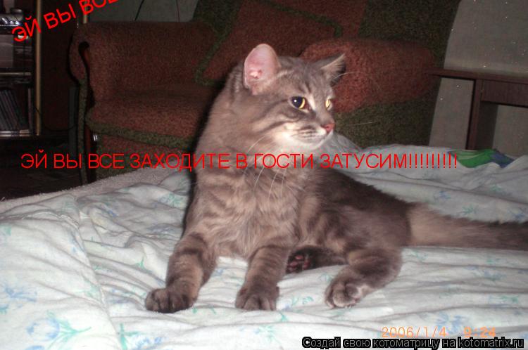 Котоматрица: ЭЙ ВЫ ВСЕ ЗАХОДИТЕ В ГОСТИ ЗАТУСИМ!!!!!!!!! ЭЙ ВЫ ВСЕ ЗАХОДИТЕ В ГОСТИ ЗАТУСИМ!!!!!!!!!