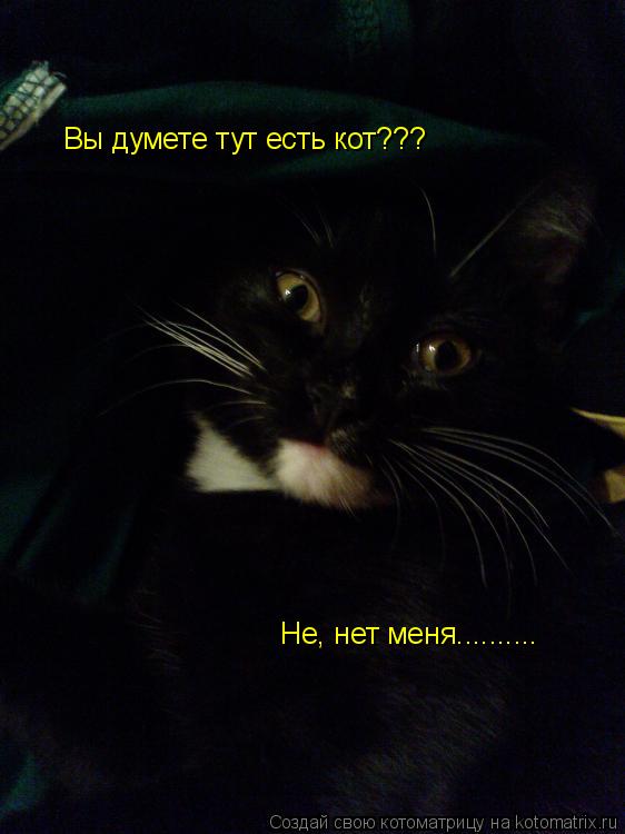 Котоматрица: Вы думете тут есть кот??? Не, нет меня..........