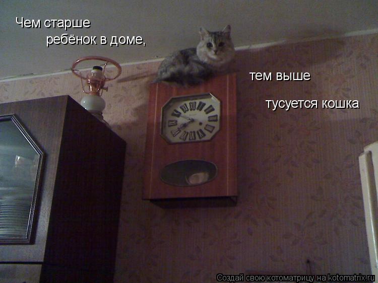 Котоматрица: Чем старше  ребёнок в доме,  тем выше  тусуется кошка