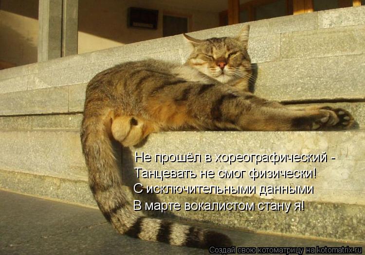 Котоматрица: Не прошёл в хореографический - Танцевать не смог физически! С исключительными данными В марте вокалистом стану я!