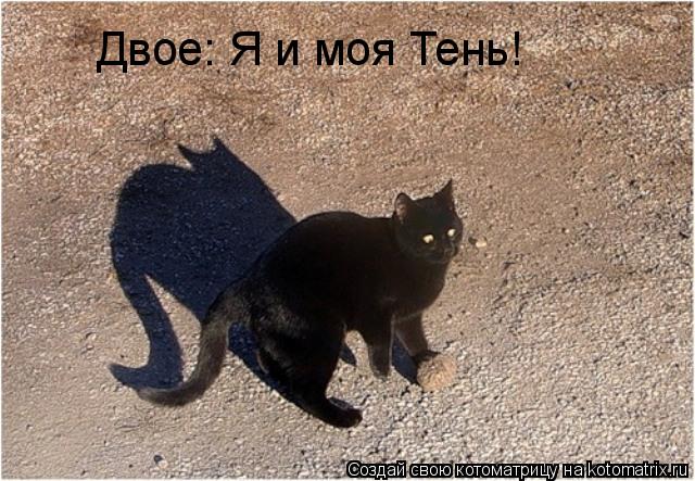 Котоматрица: Двое: Я и моя Тень!