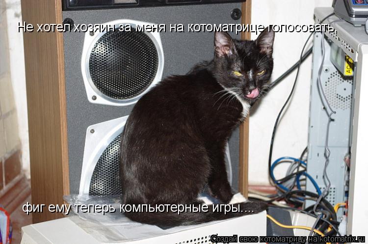 Котоматрица: Не хотел хозяин за меня на котоматрице голосовать, фиг ему теперь компьютерные игры....