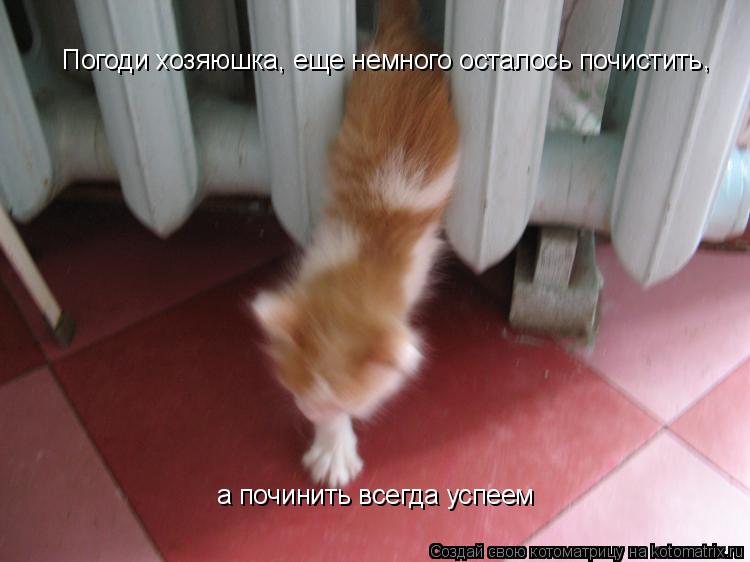Котоматрица: Погоди хозяюшка, еще немного осталось почистить Погоди хозяюшка, еще немного осталось почистить , а починить всегда успеем