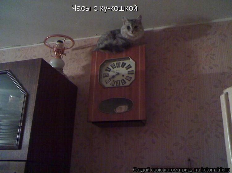 Котоматрица: Часы с ку-кошкой