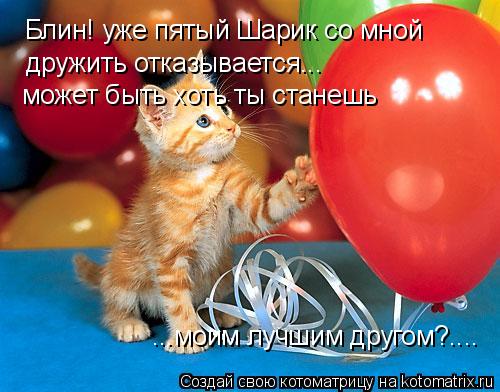 Котоматрица: Блин! уже пятый Шарик со мной дружить отказывается...  может быть хоть ты станешь ...моим лучшим другом?....