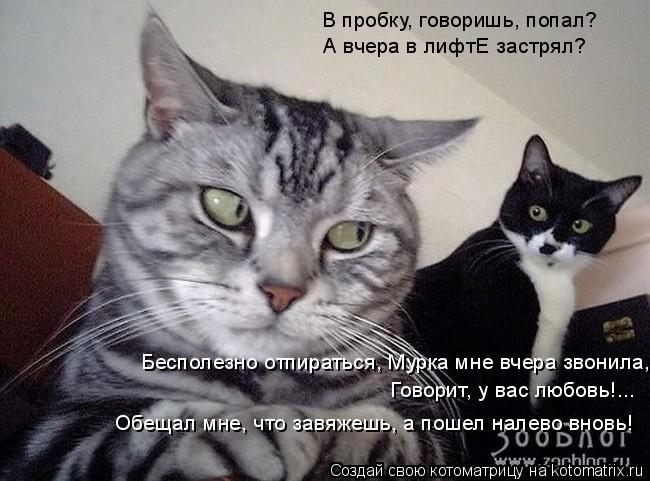 Котоматрица: В пробку, говоришь, попал? А вчера в лифтЕ застрял? Бесполезно отпираться, Мурка мне вчера звонила, Говорит, у вас любовь!... Обещал мне, что за