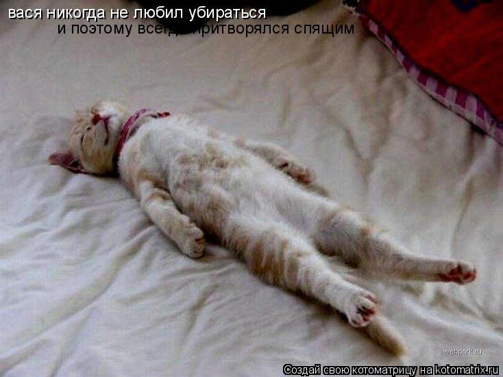 Котоматрица: вася никогда не любил убираться и поэтому всегда притворялся спящим