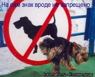 Котоматрица: На сам знак вроде не запрещено...