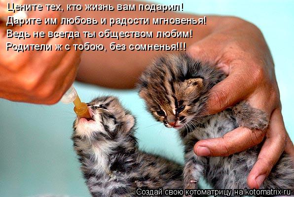 Цените тех, кто жизнь вам подарил! Дарите им любовь и радости мгновенья! Ведь не всегда ты обществом ... Котоматрица: Цените тех, кто жизнь вам подарил! Дарите им любовь и радости мгновенья! Ведь не всегда ты обществом любим! Родители ж с тобою, без сомненья!!!