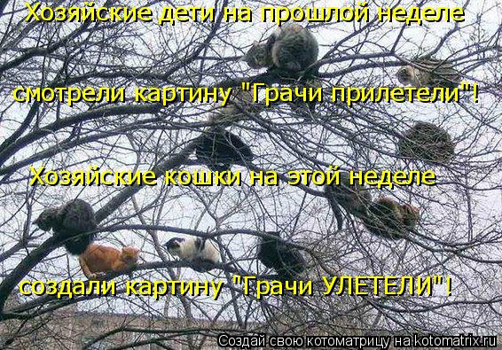 Котоматрица: Хозяйские дети на прошлой неделе смотрели картину "Грачи прилетели"! Хозяйские кошки на этой неделе создали картину "Грачи УЛЕТЕЛИ"!
