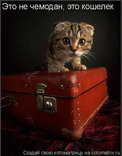 Котоматрица: Это не чемодан, это кошелек