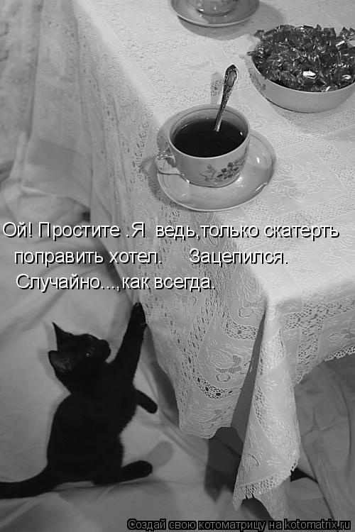 Котоматрица: Ой! Простите .Я  ведь,только скатерть поправить хотел.     Зацепился. Случайно...,как всегда.