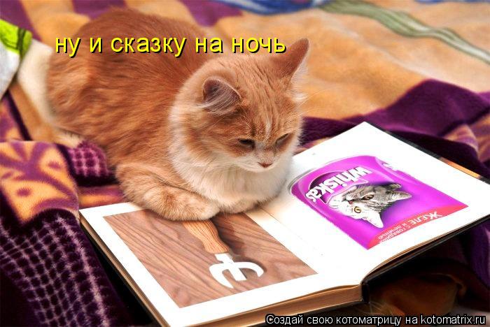 ну и сказку на ночь... Котоматрица: ну и сказку на ночь