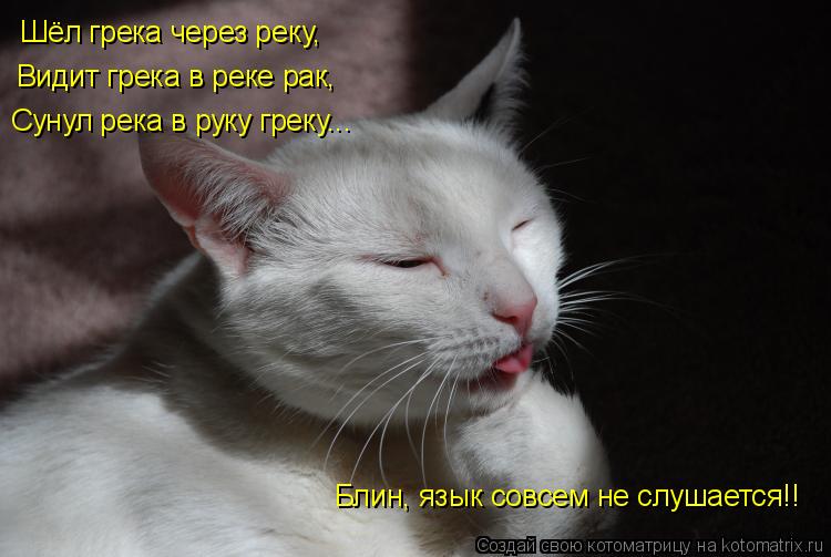 Шёл грека через реку, Видит грека в реке рак, Сунул река в руку греку... Блин, язык совсем не слушает... Котоматрица: Шёл грека через реку, Видит грека в реке рак, Сунул река в руку греку... Блин, язык совсем не слушается!!
